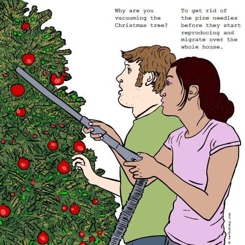 'Why are you vacuuming the Christmas tree?'
