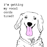 Guess what? I'm going to the doctor to get my vocal cords tuned!