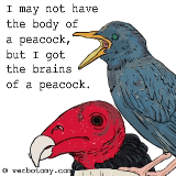 I may not have the body of a peacock, but I got the brains of a peacock.
