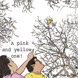 Look Daddy! A pink and yellow one!