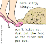 Don't kitty me!
