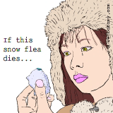 If this snow flea dies...