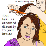 Your hair is attached directly to your brain!