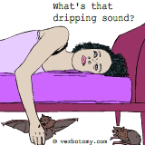 What's that dripping sound?